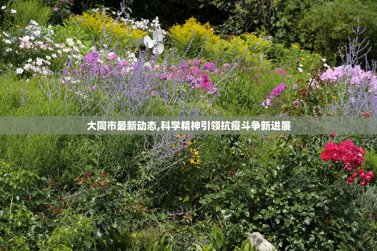 大同市最新动态,科学精神引领抗疫斗争新进展