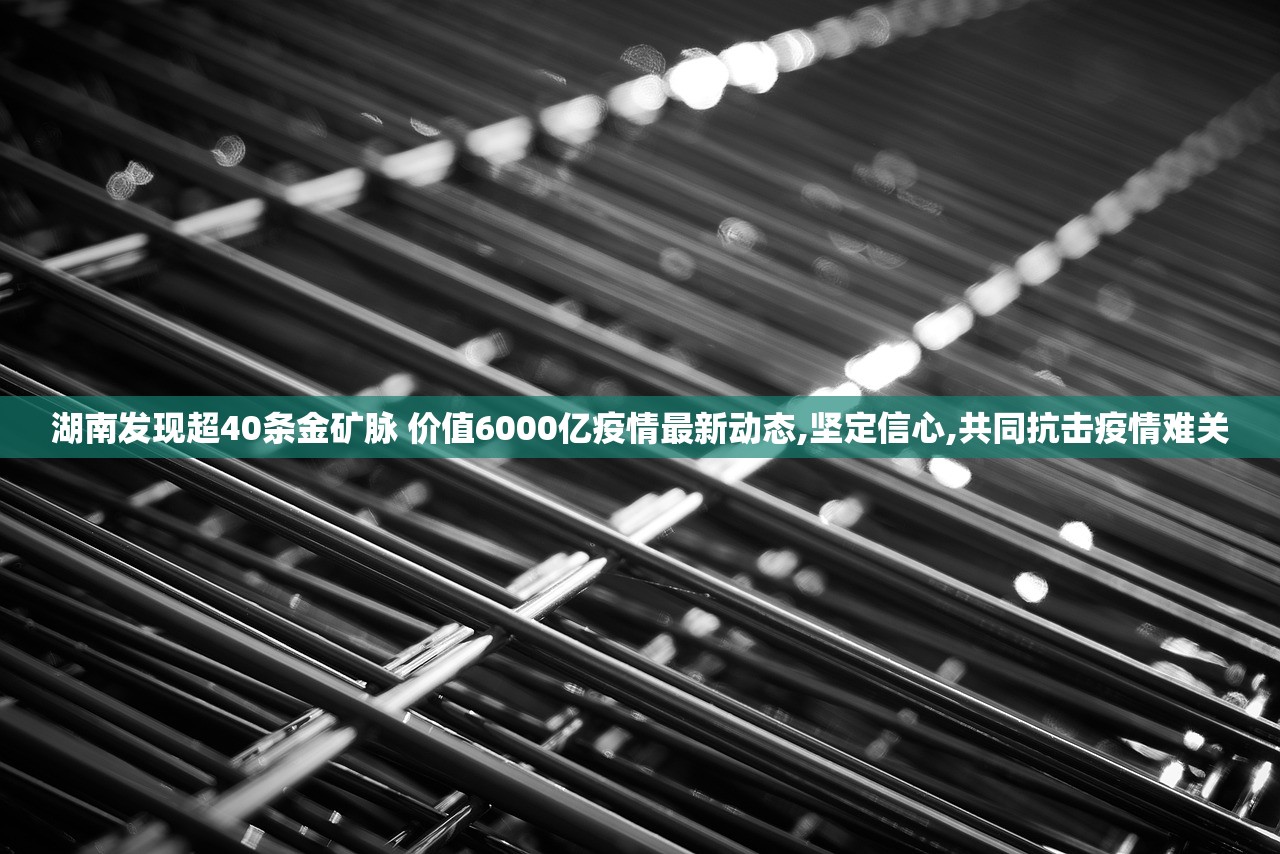 湖南发现超40条金矿脉 价值6000亿疫情最新动态,坚定信心,共同抗击疫情难关