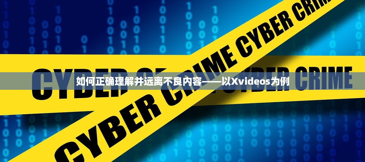 如何正确理解并远离不良内容——以Xvideos为例