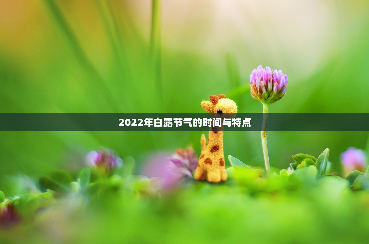 2022年白露节气的时间与特点