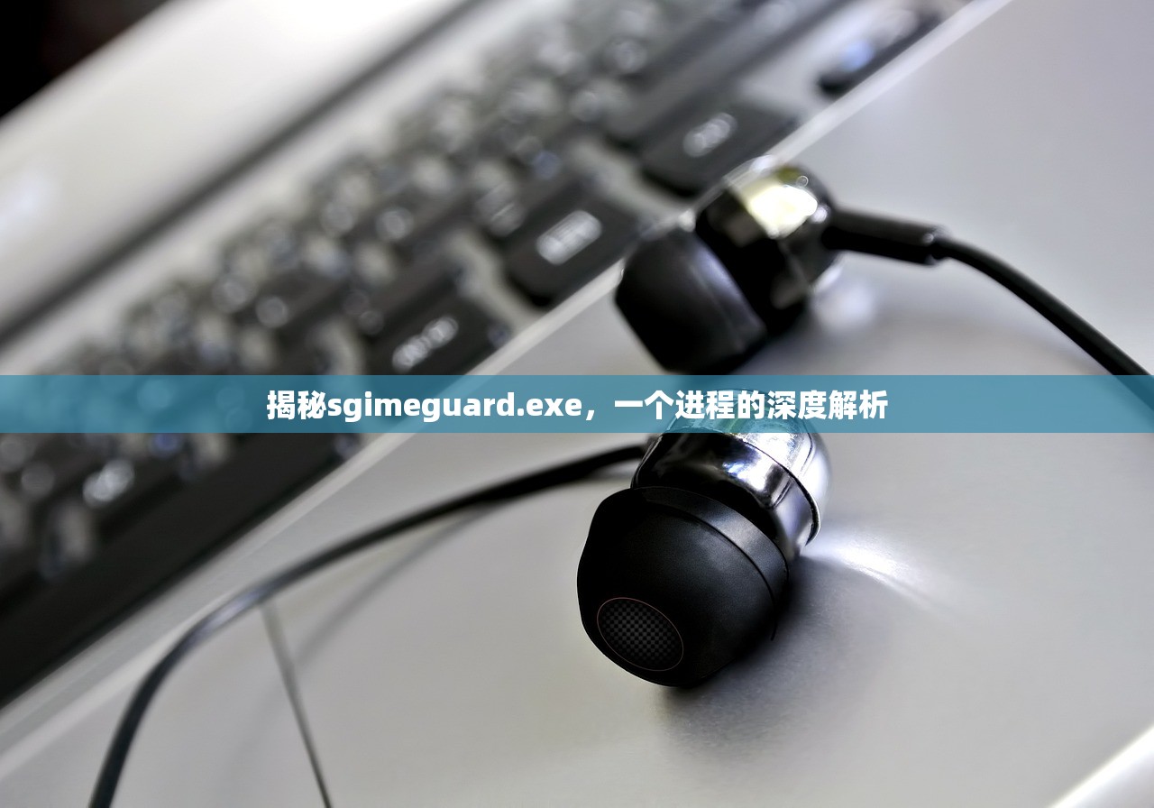 揭秘sgimeguard.exe，一个进程的深度解析