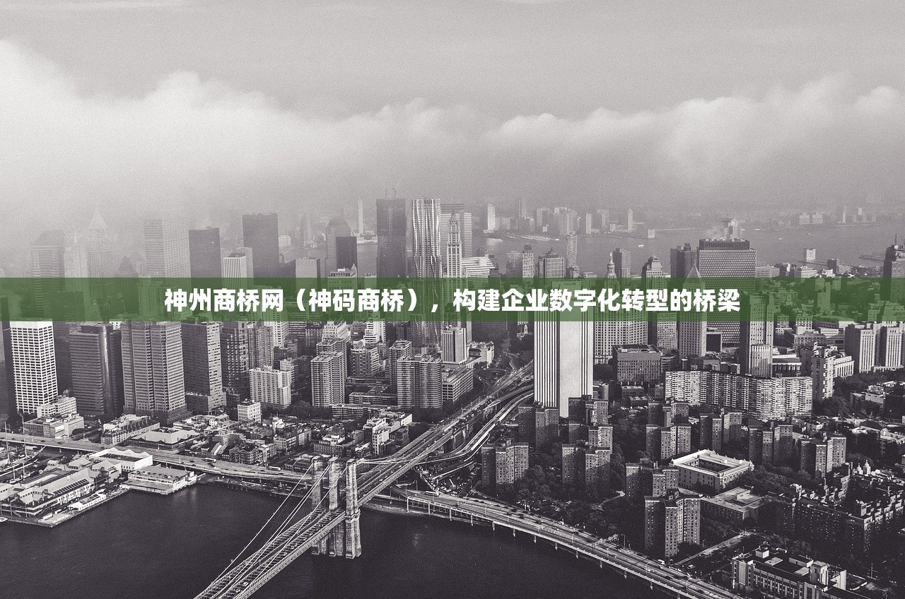 神州商桥网（神码商桥），构建企业数字化转型的桥梁