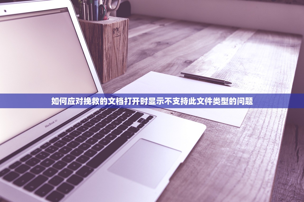 如何应对挽救的文档打开时显示不支持此文件类型的问题