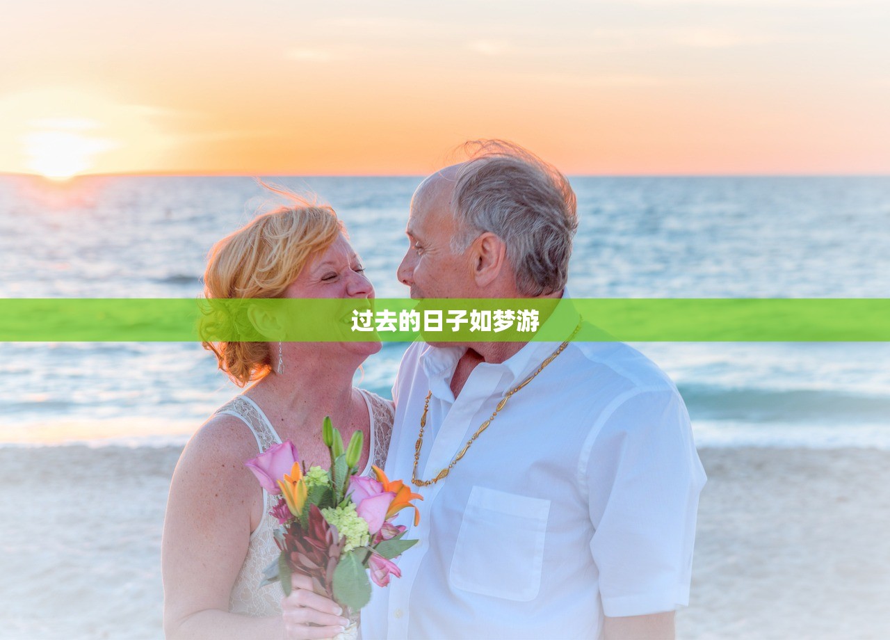 过去的日子如梦游