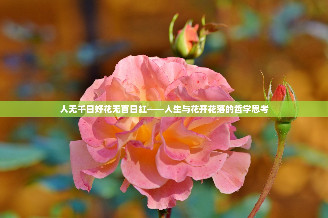 人无千日好花无百日红——人生与花开花落的哲学思考