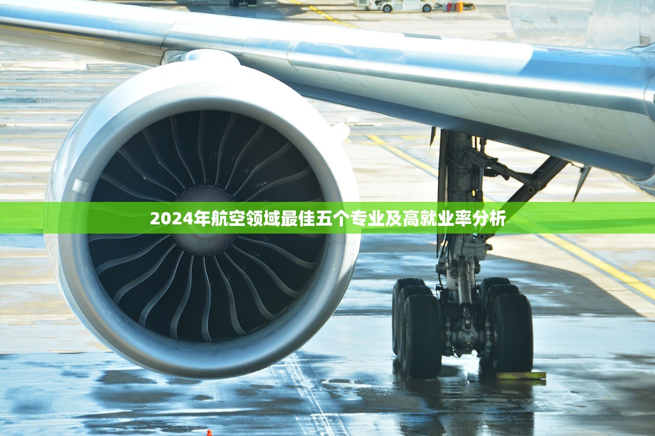 2024年航空领域最佳五个专业及高就业率分析