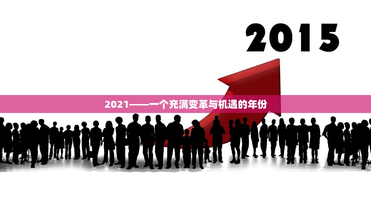 2021——一个充满变革与机遇的年份