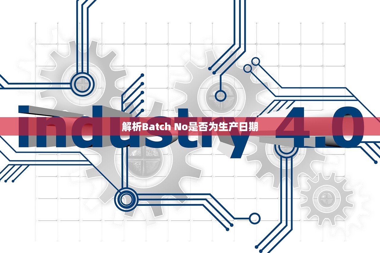 解析Batch No是否为生产日期