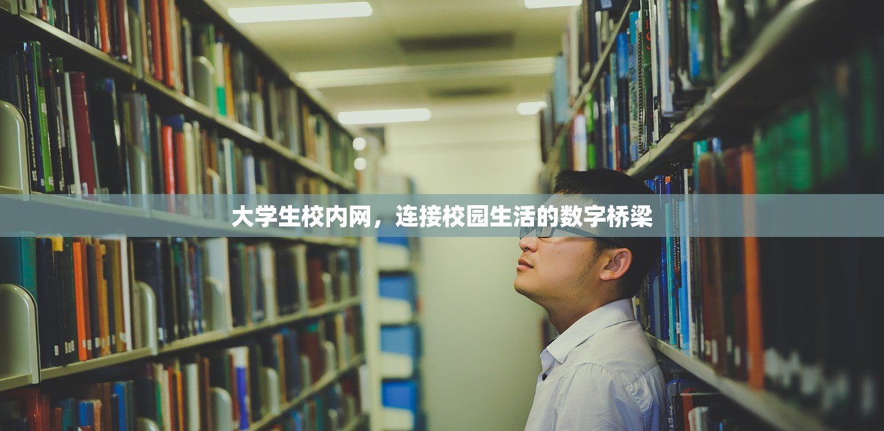 大学生校内网，连接校园生活的数字桥梁