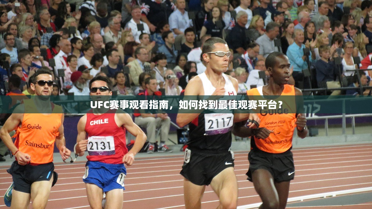 UFC赛事观看指南，如何找到最佳观赛平台？