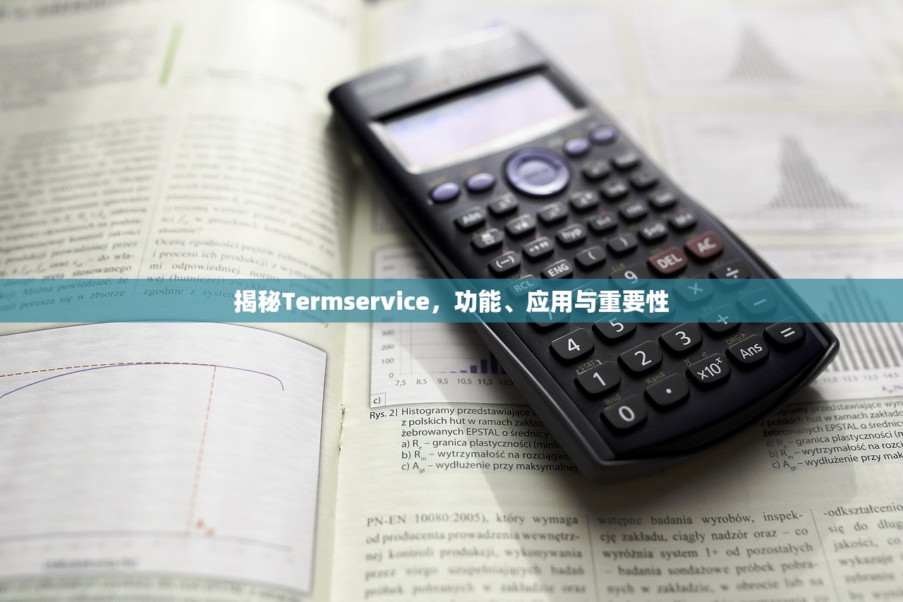 揭秘Termservice，功能、应用与重要性