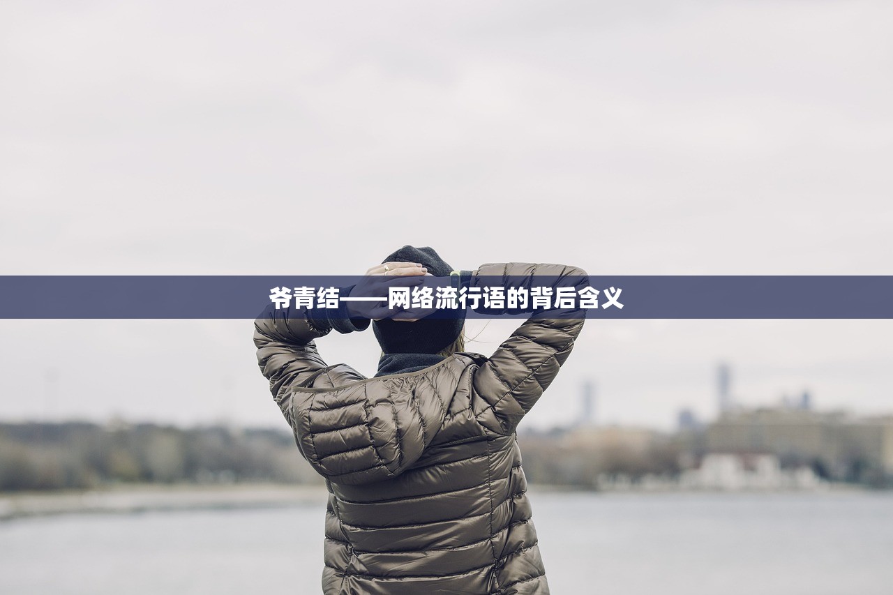 爷青结——网络流行语的背后含义