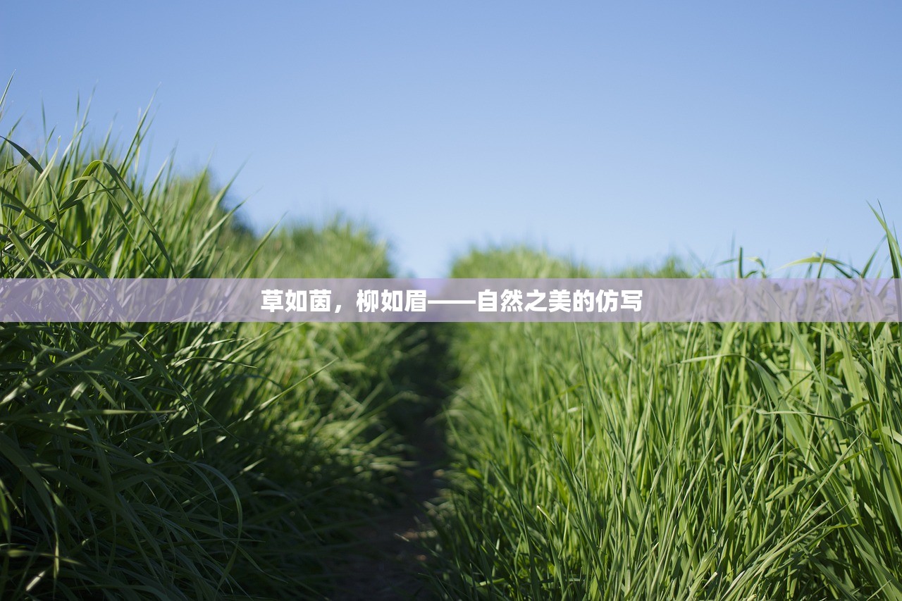 草如茵，柳如眉——自然之美的仿写