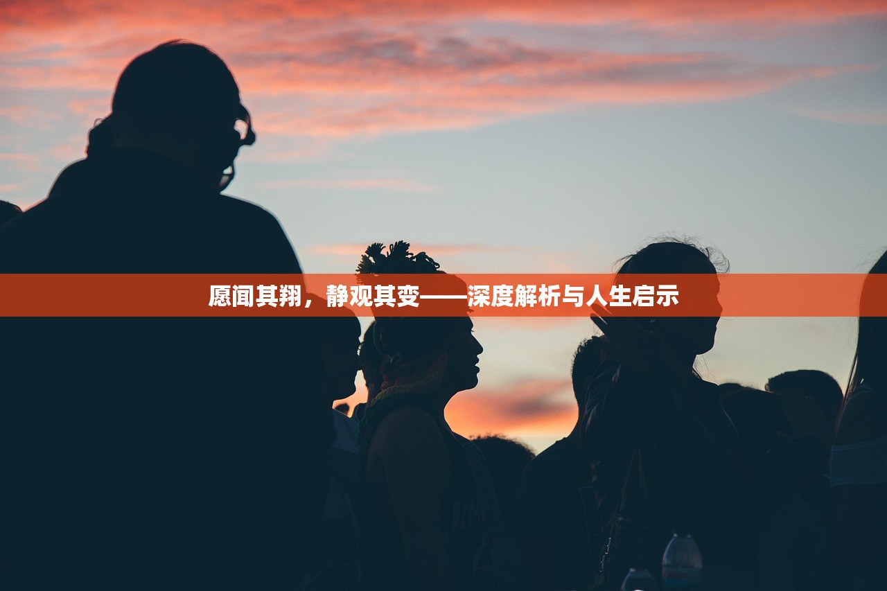 愿闻其翔，静观其变——深度解析与人生启示