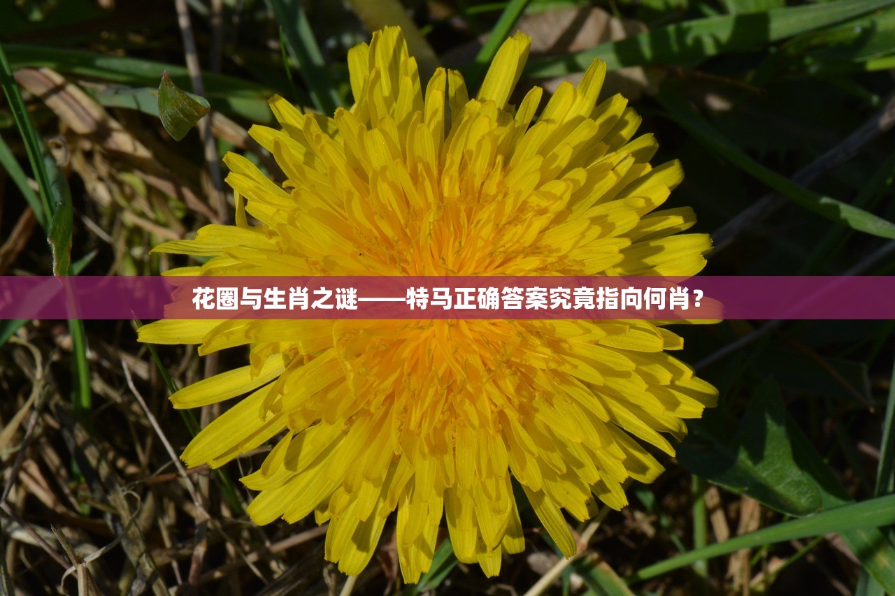 花圈与生肖之谜——特马正确答案究竟指向何肖？