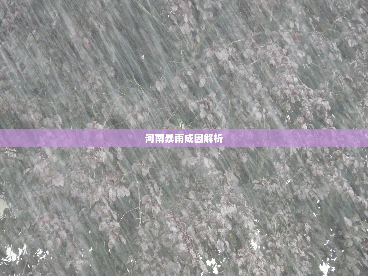 河南暴雨成因解析