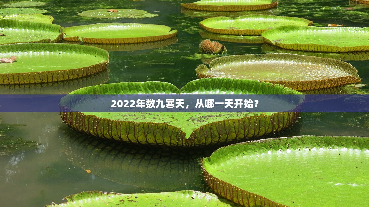 2022年数九寒天，从哪一天开始？