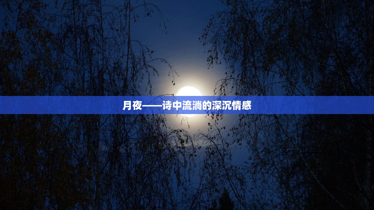 月夜——诗中流淌的深沉情感