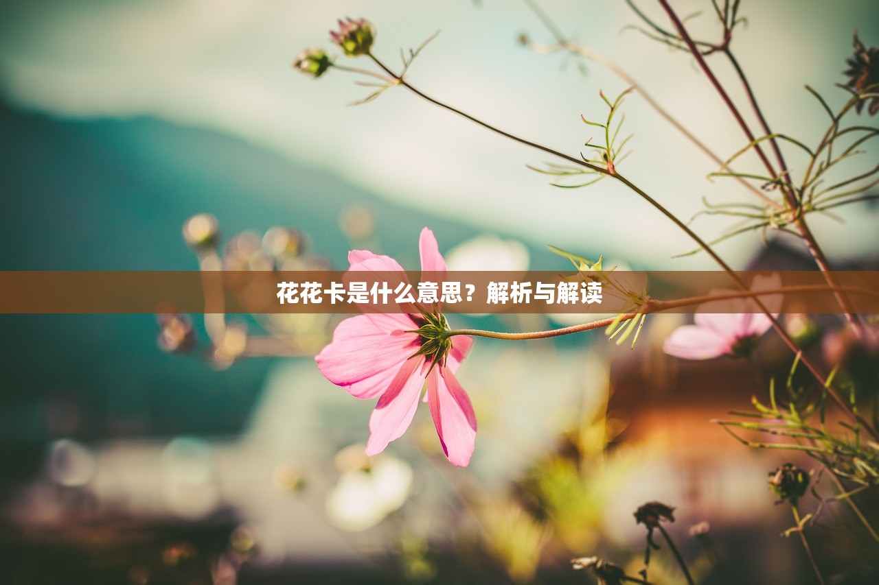 花花卡是什么意思？解析与解读