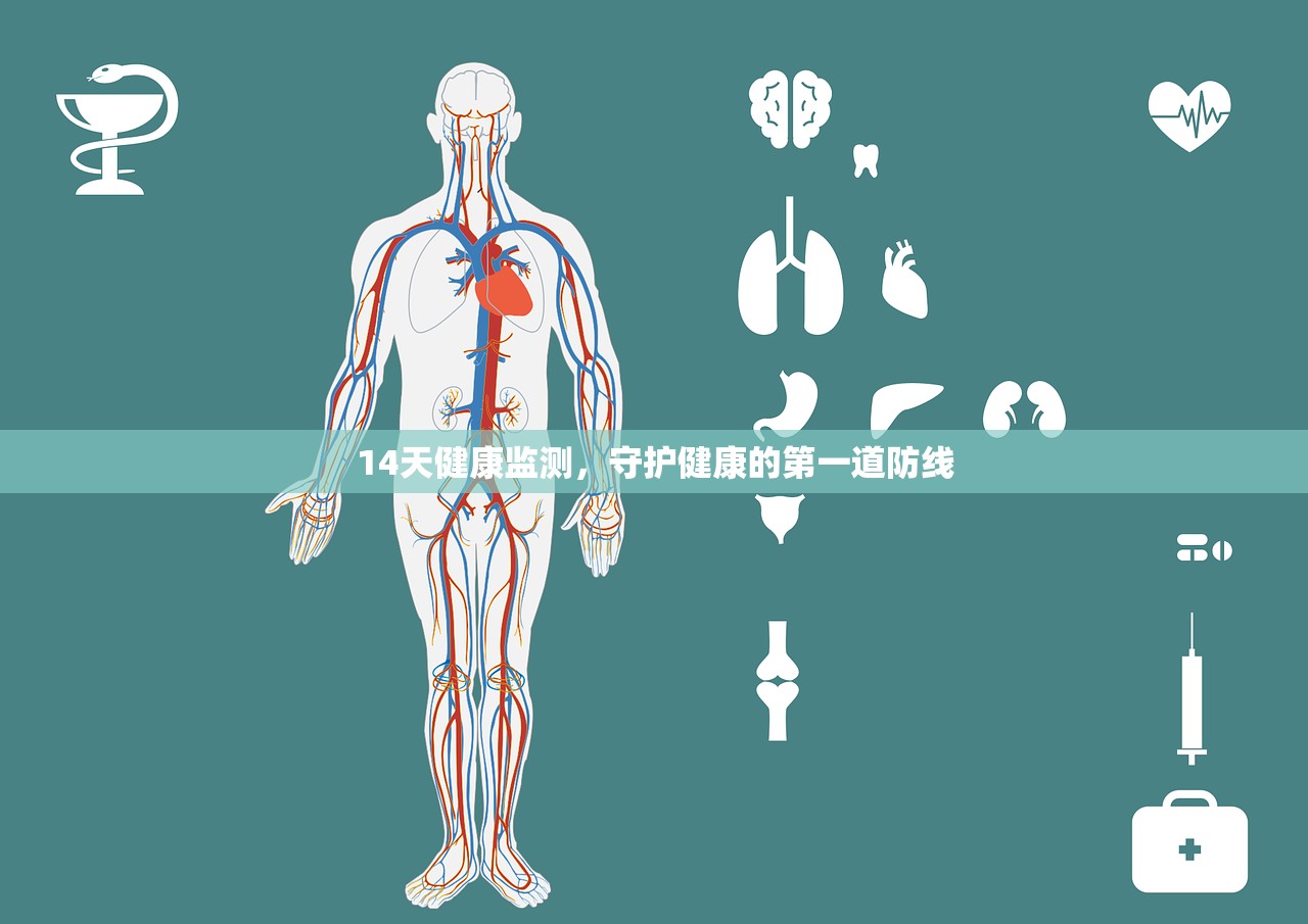 14天健康监测，守护健康的第一道防线