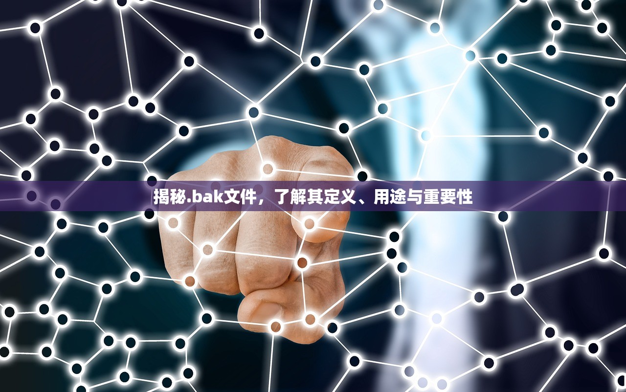 揭秘.bak文件，了解其定义、用途与重要性