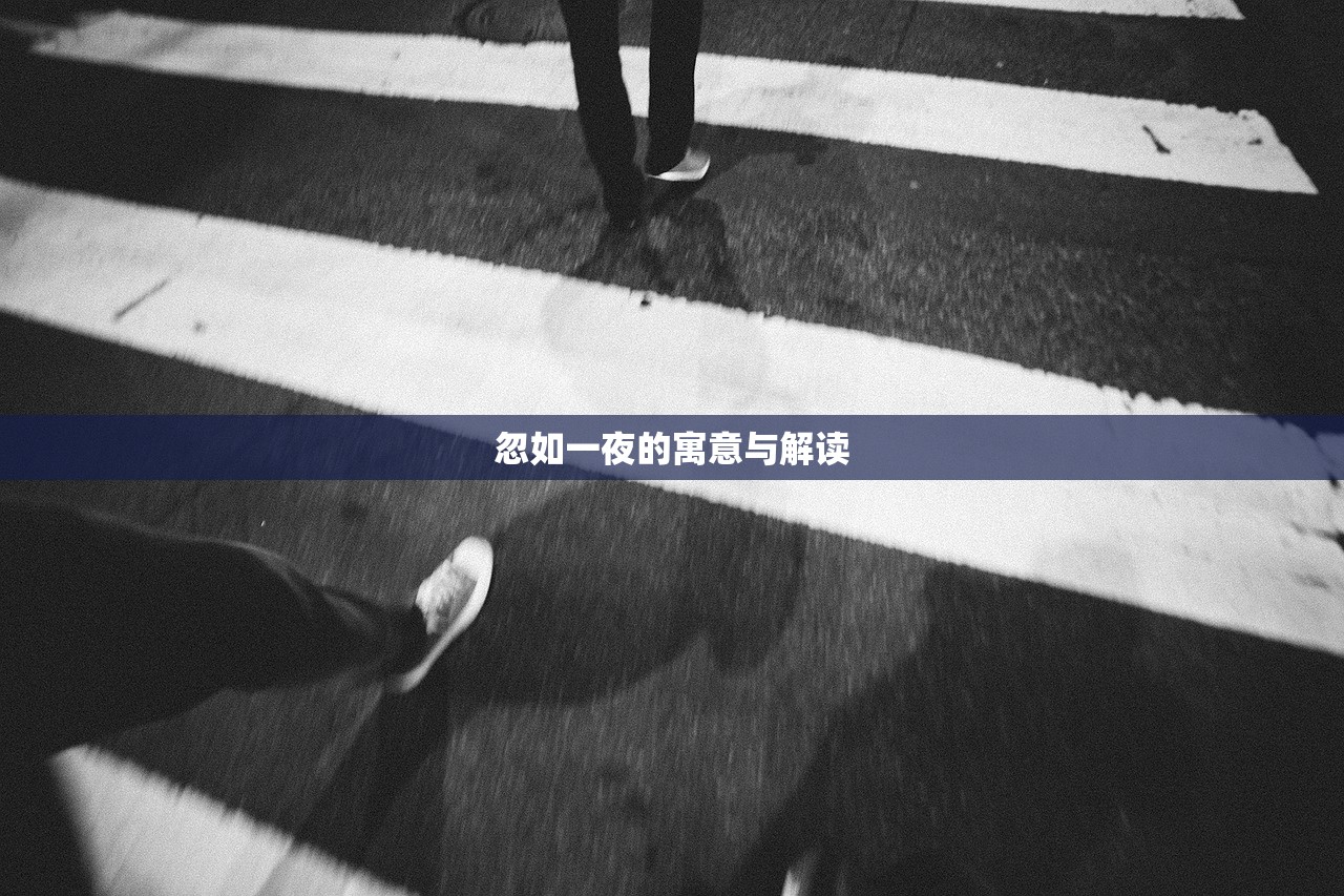 忽如一夜的寓意与解读