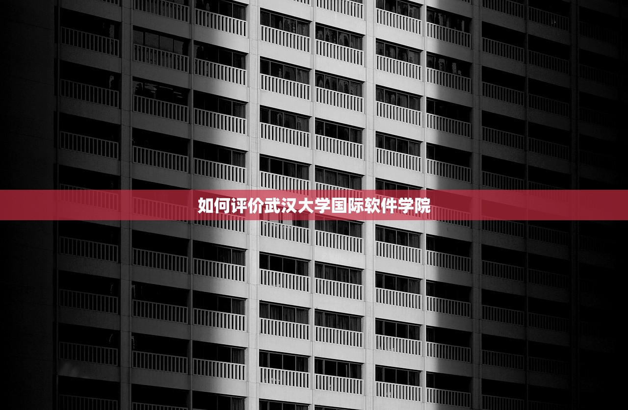 如何评价武汉大学国际软件学院