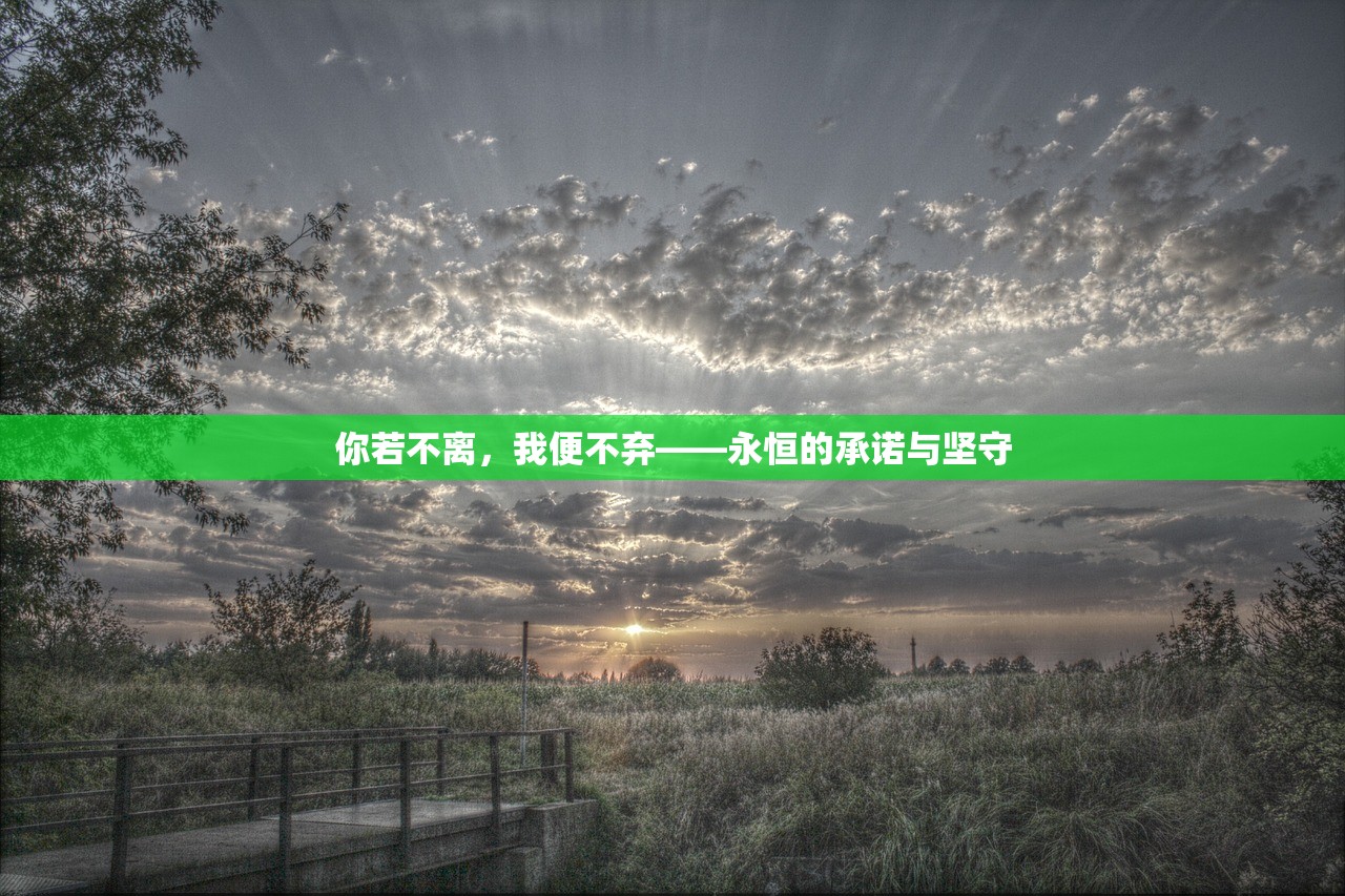 你若不离，我便不弃——永恒的承诺与坚守