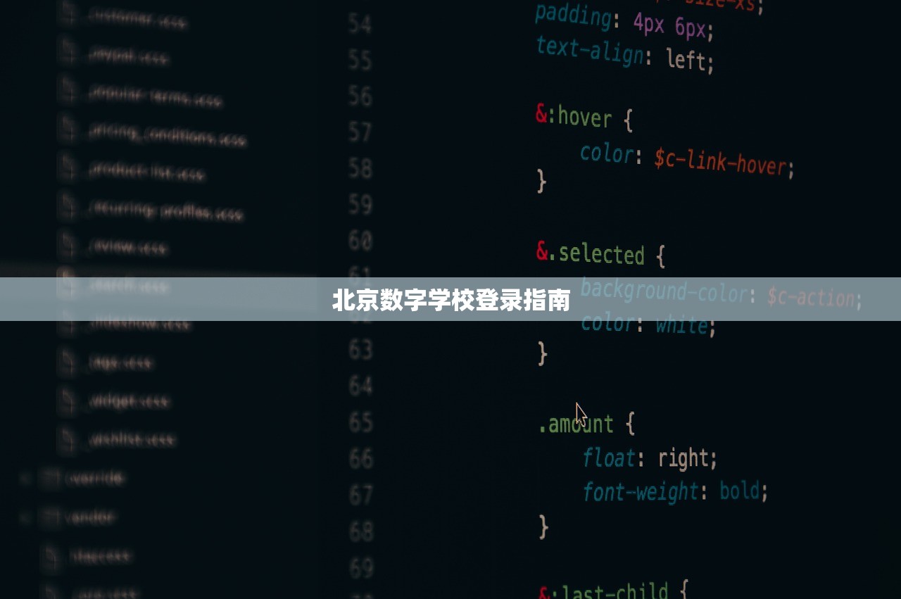 北京数字学校登录指南