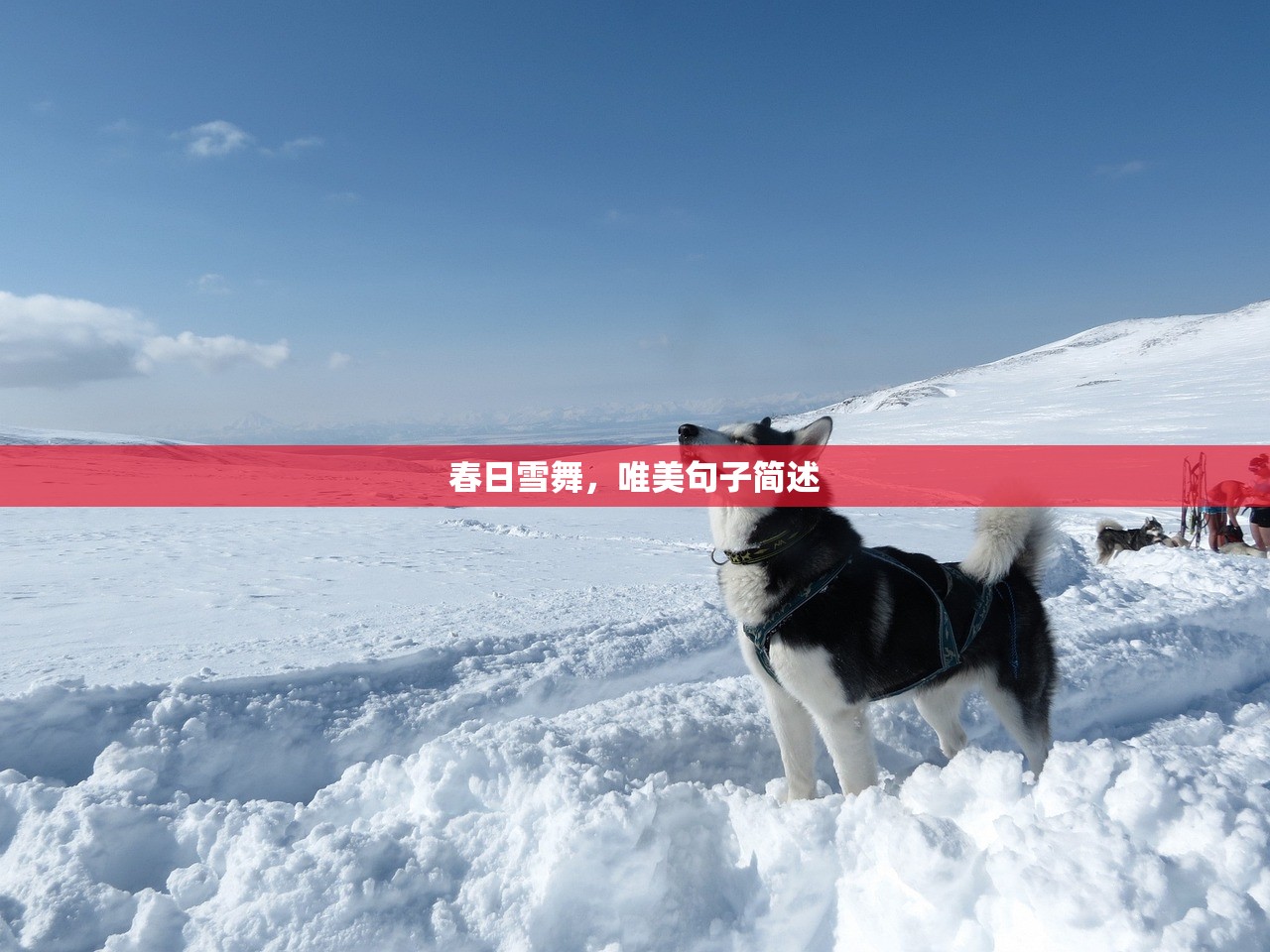 春日雪舞，唯美句子简述