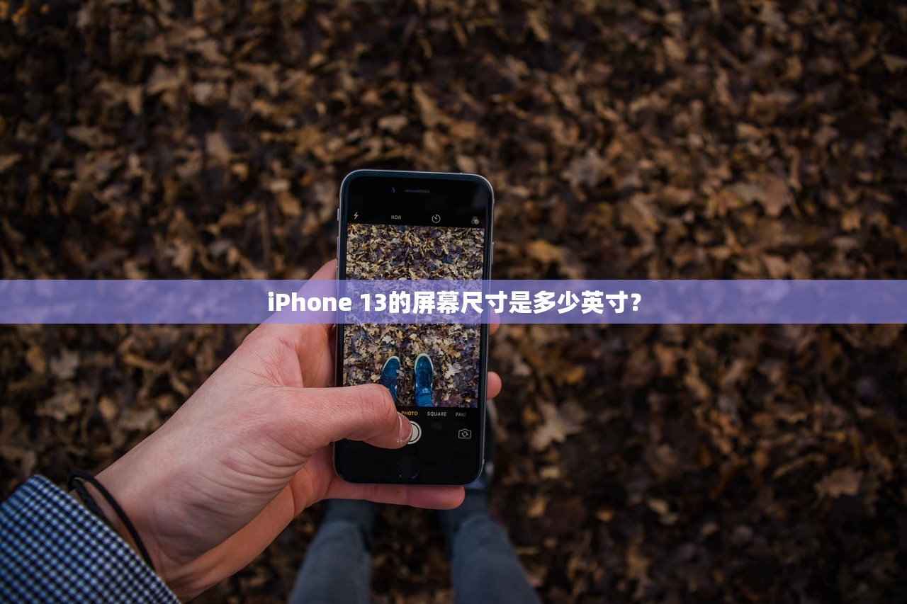 iPhone 13的屏幕尺寸是多少英寸？