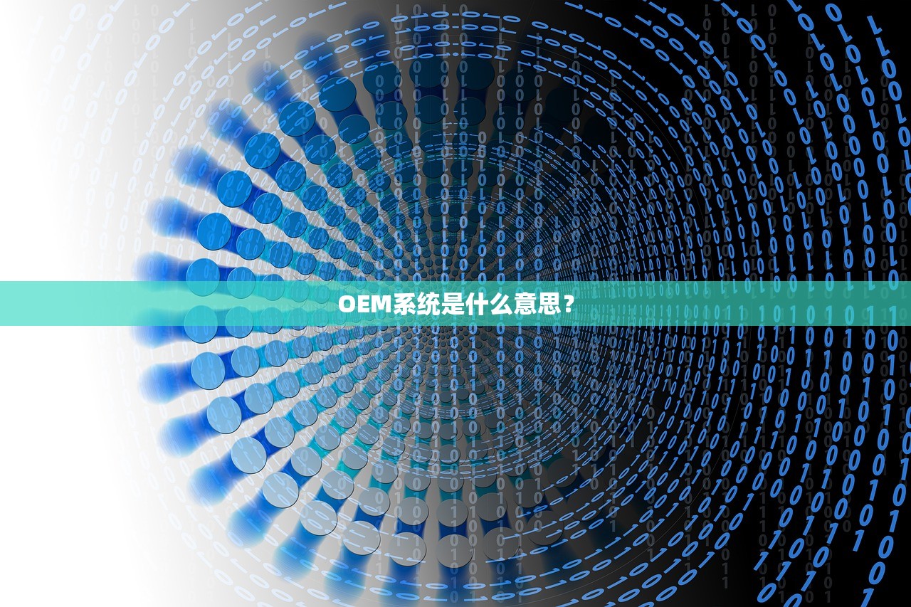 OEM系统是什么意思？