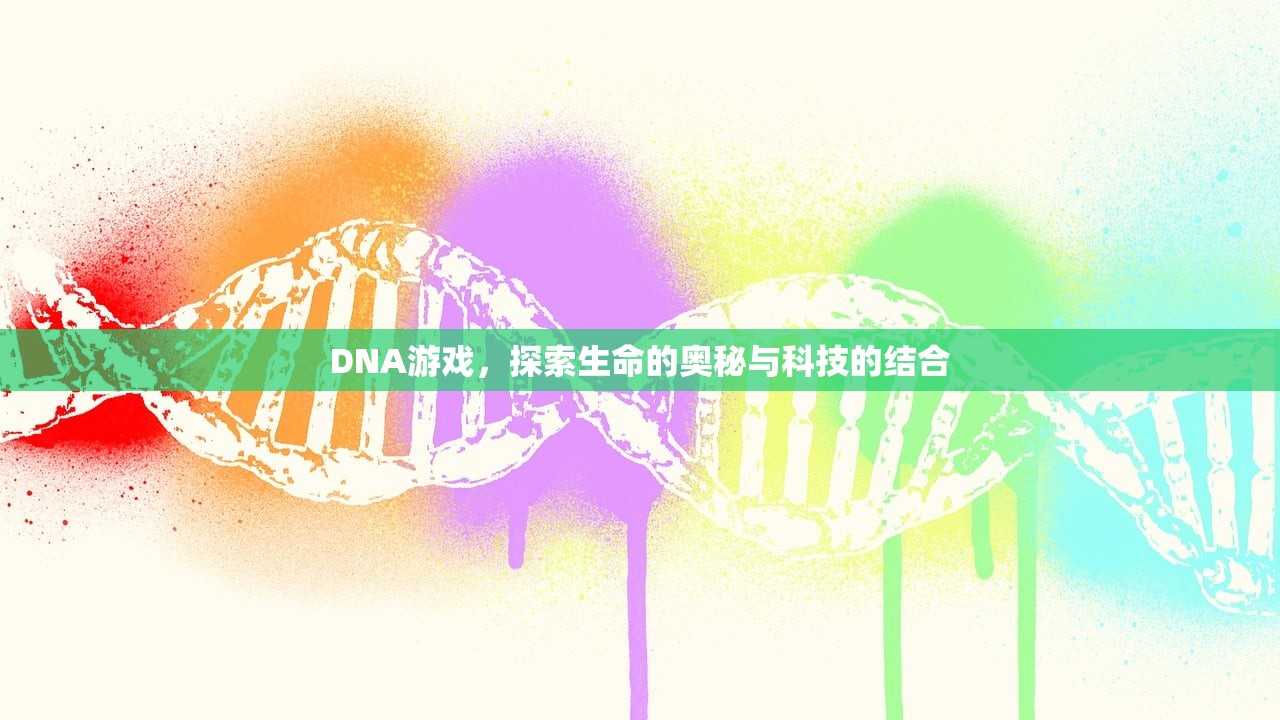 DNA游戏，探索生命的奥秘与科技的结合