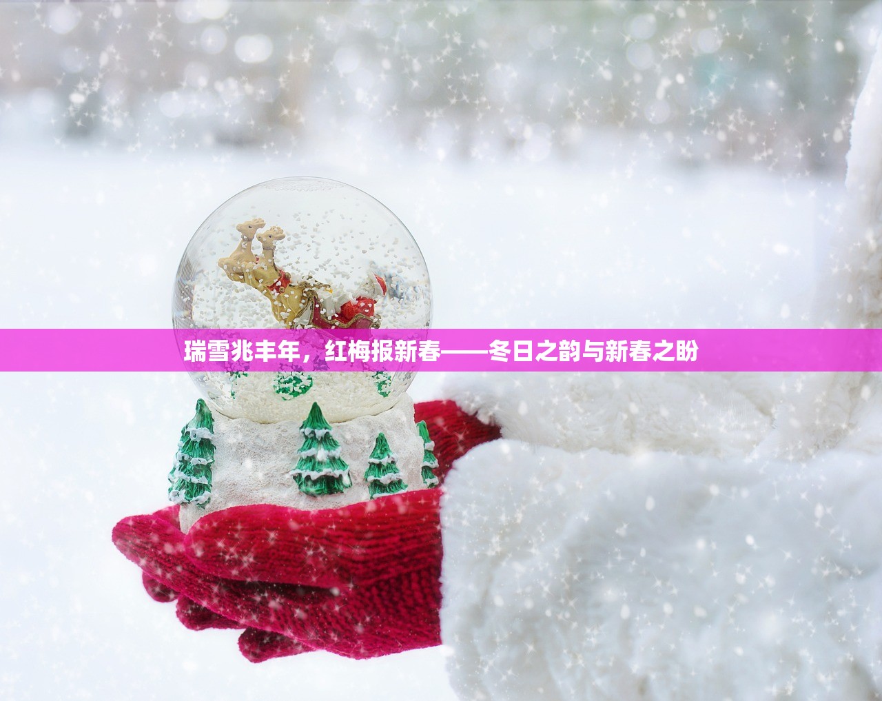 瑞雪兆丰年，红梅报新春——冬日之韵与新春之盼