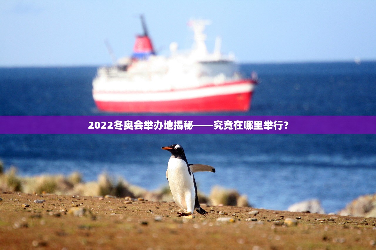 2022冬奥会举办地揭秘——究竟在哪里举行？