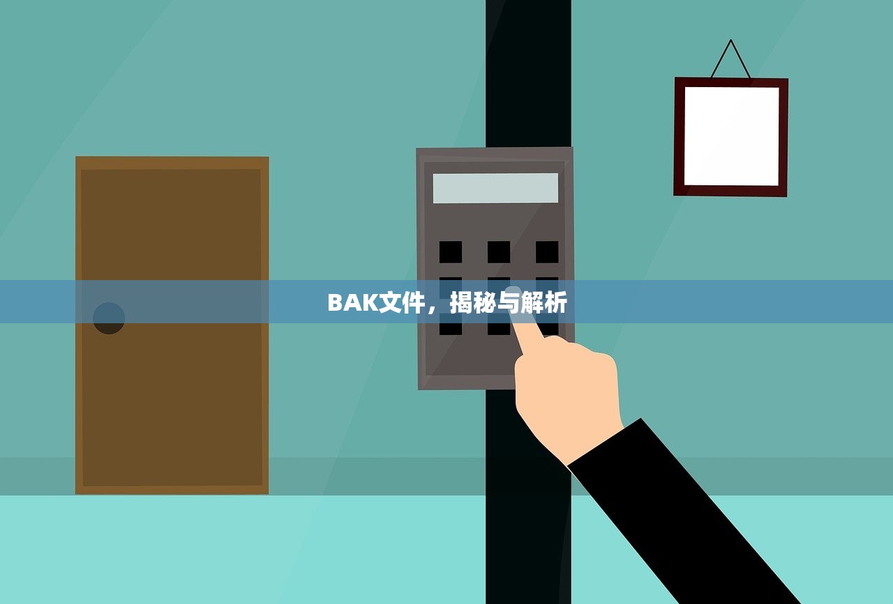 BAK文件，揭秘与解析