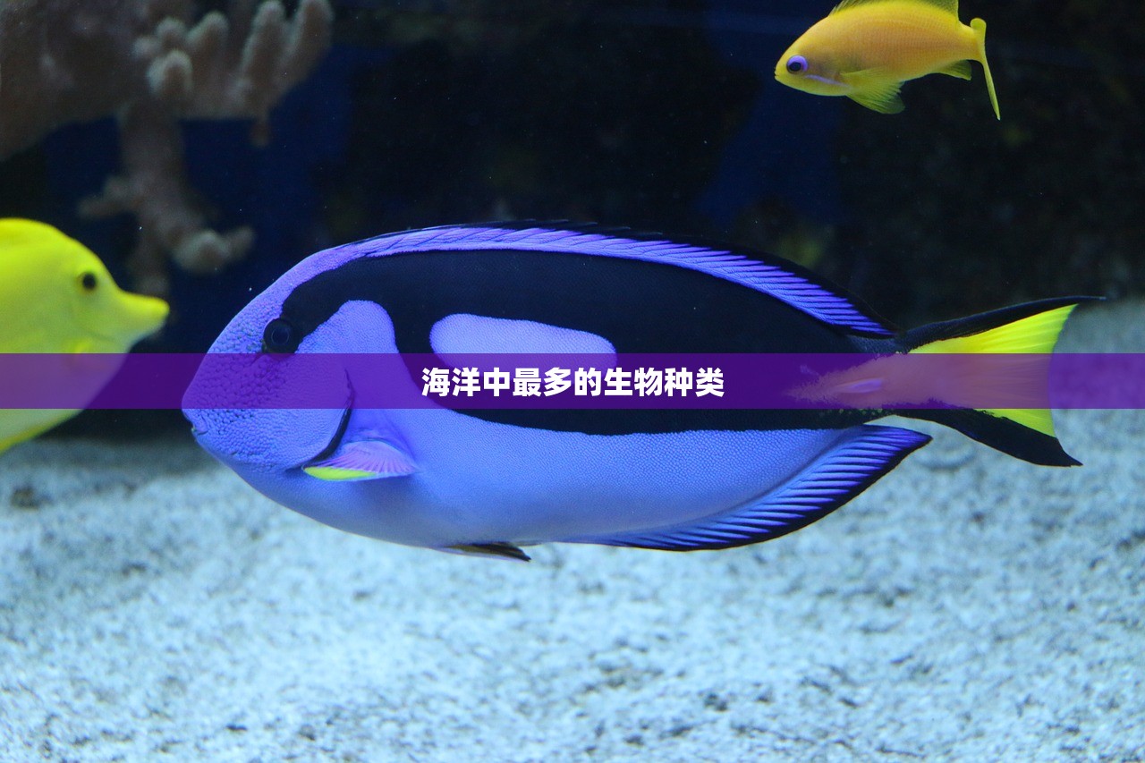 海洋中最多的生物种类