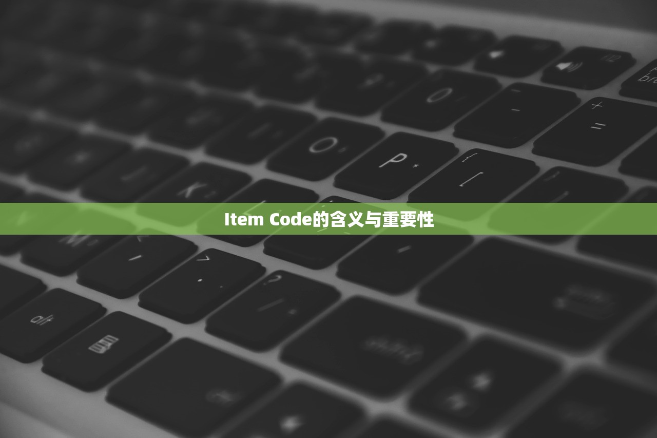 Item Code的含义与重要性