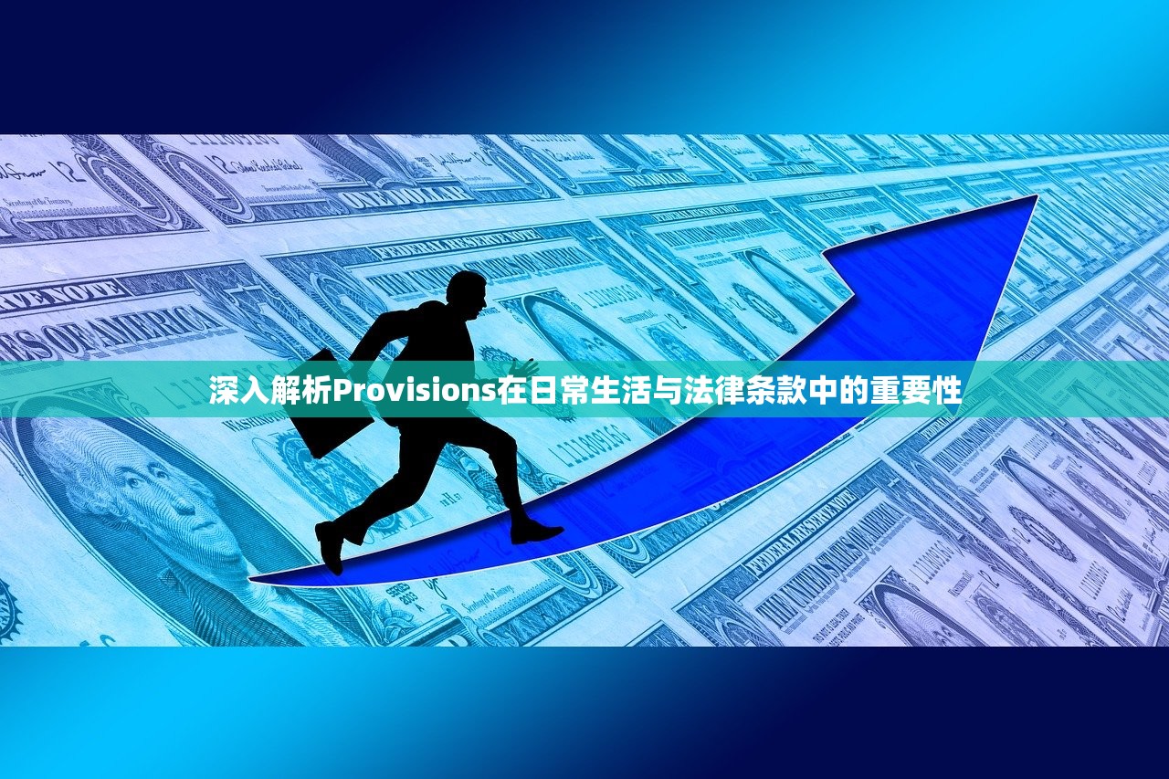 深入解析Provisions在日常生活与法律条款中的重要性