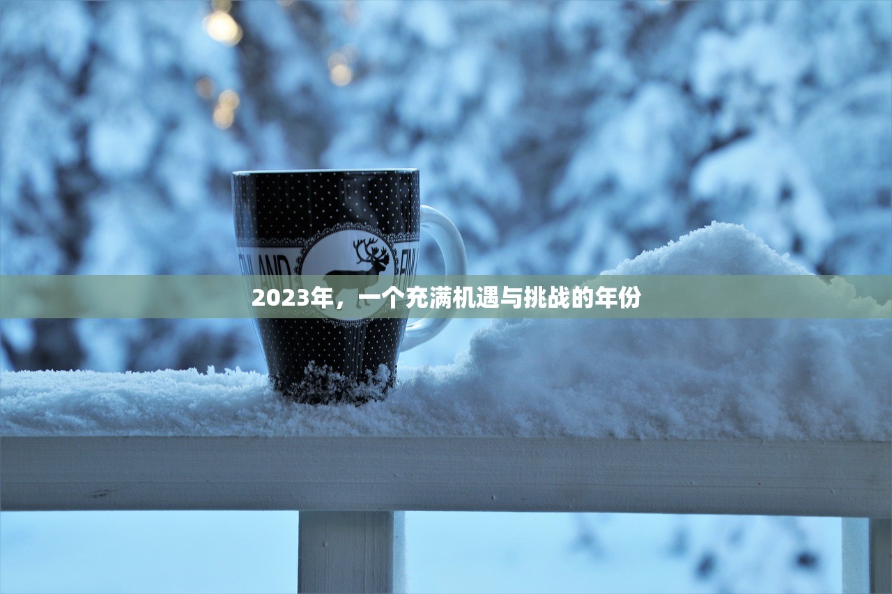 2023年，一个充满机遇与挑战的年份