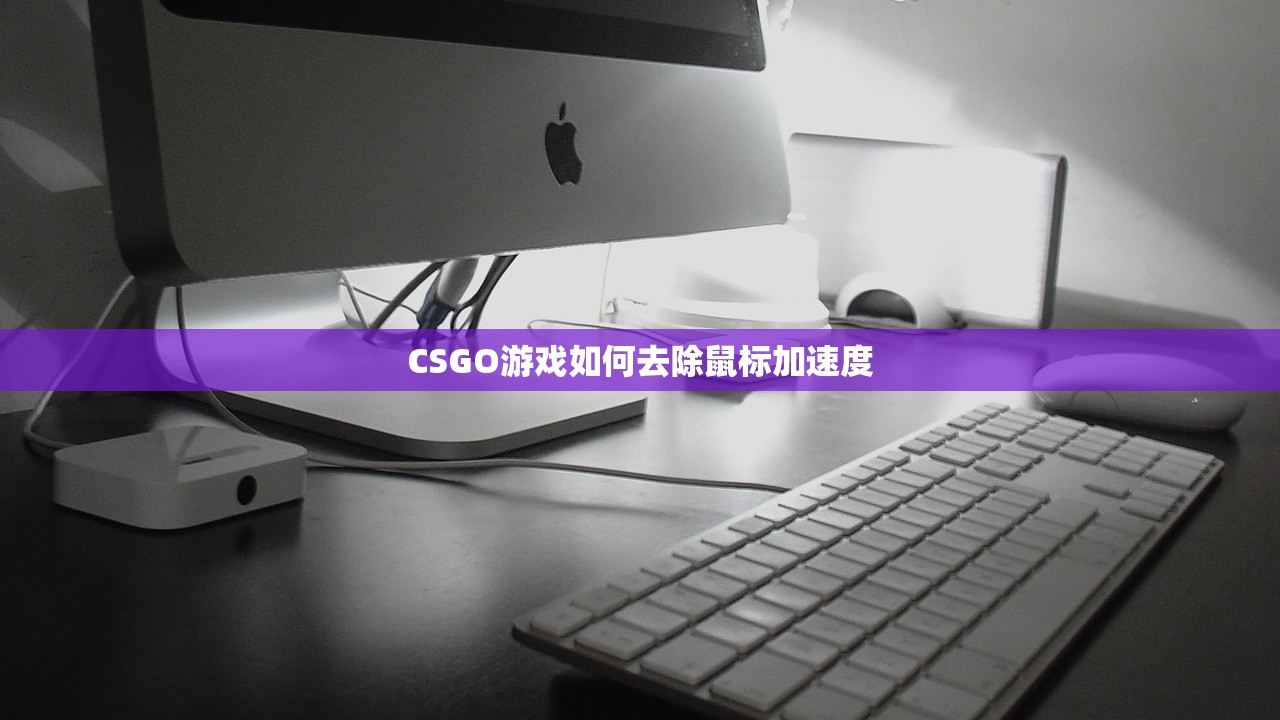 CSGO游戏如何去除鼠标加速度