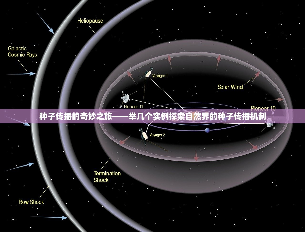 2025年1月3日 第6页