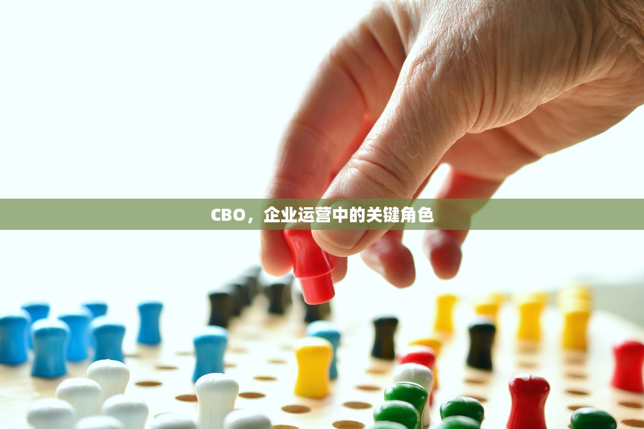 CBO，企业运营中的关键角色