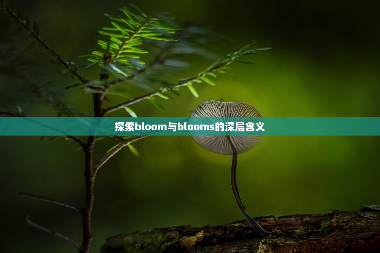 探索bloom与blooms的深层含义