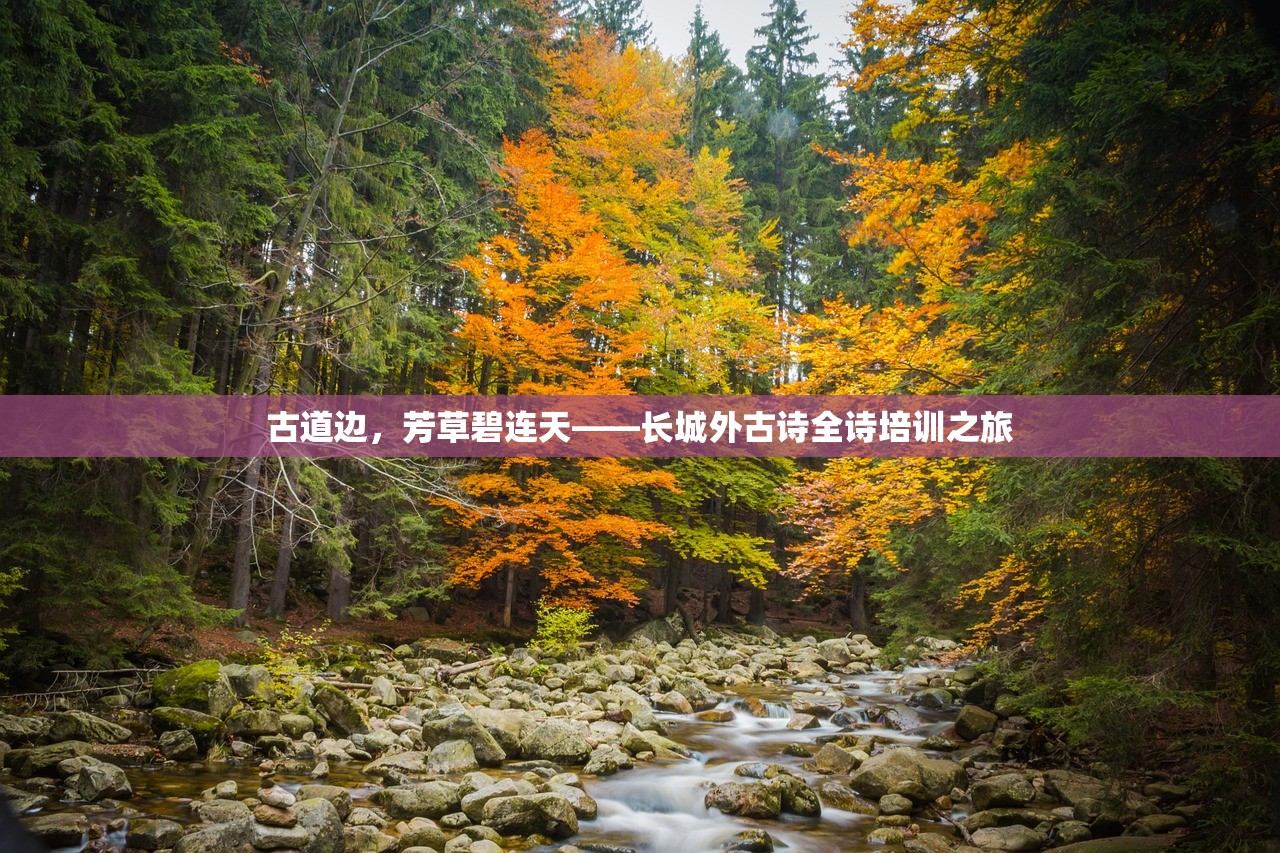 古道边，芳草碧连天——长城外古诗全诗培训之旅