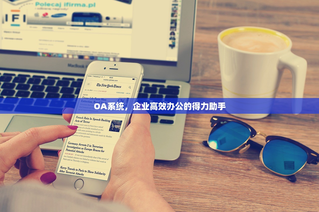 OA系统，企业高效办公的得力助手