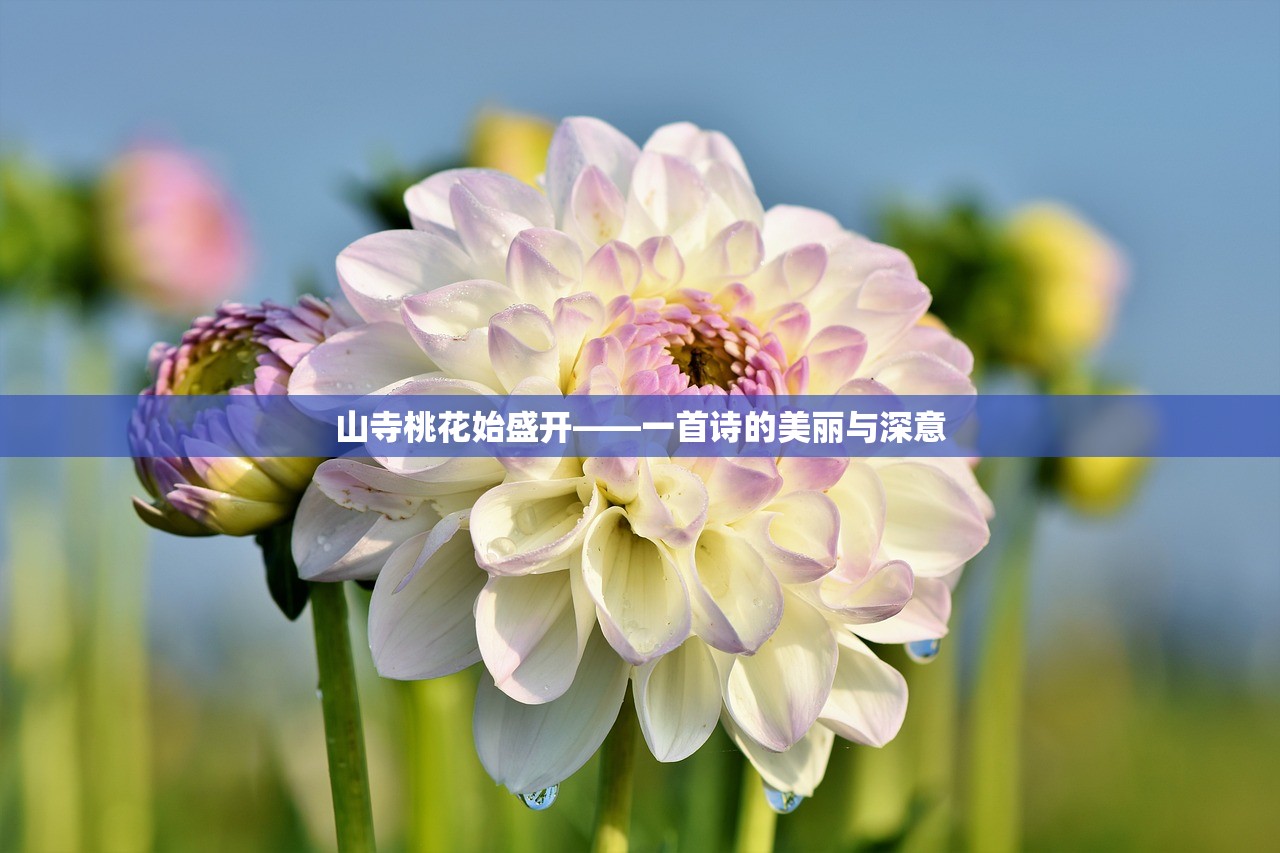 山寺桃花始盛开——一首诗的美丽与深意