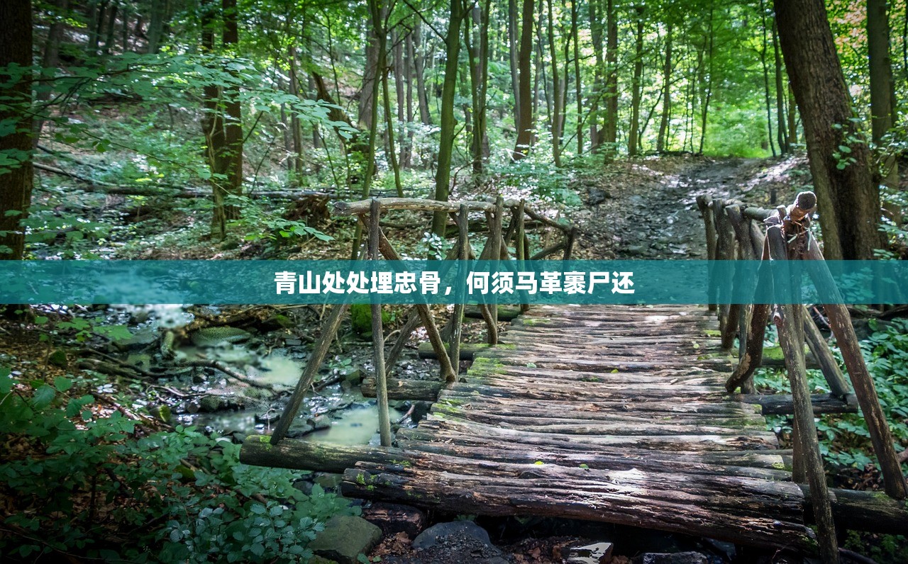 青山处处埋忠骨，何须马革裹尸还