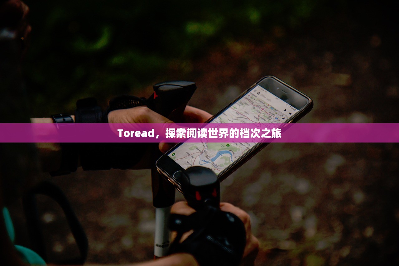 Toread，探索阅读世界的档次之旅