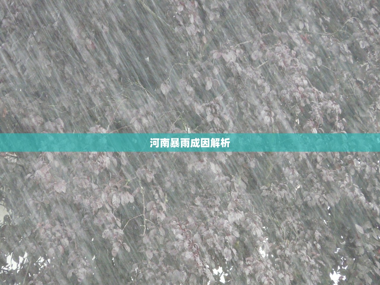 河南暴雨成因解析